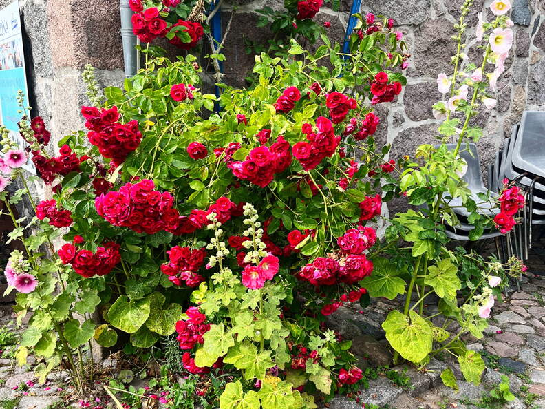 24-07-01 17-03-23 0083